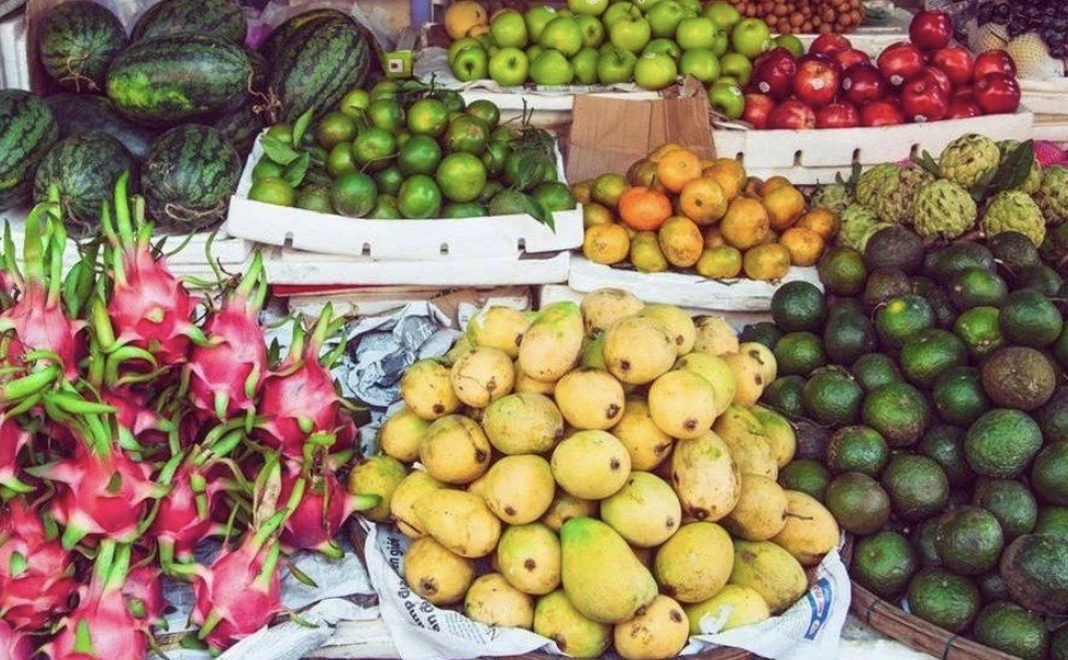 The Ultimate Fruit Season in Vietnam Calendar for B2B Importers